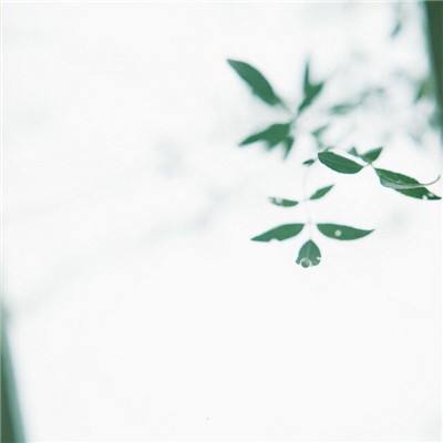 百炼成仙九游版下载