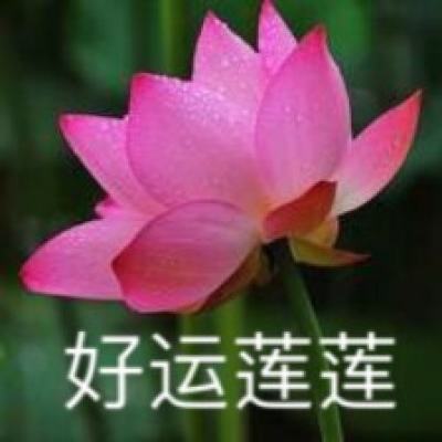 后宫盛世颜手机版下载